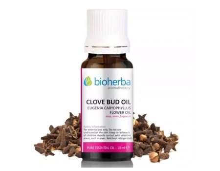 Essential oil of clove 10 ml.